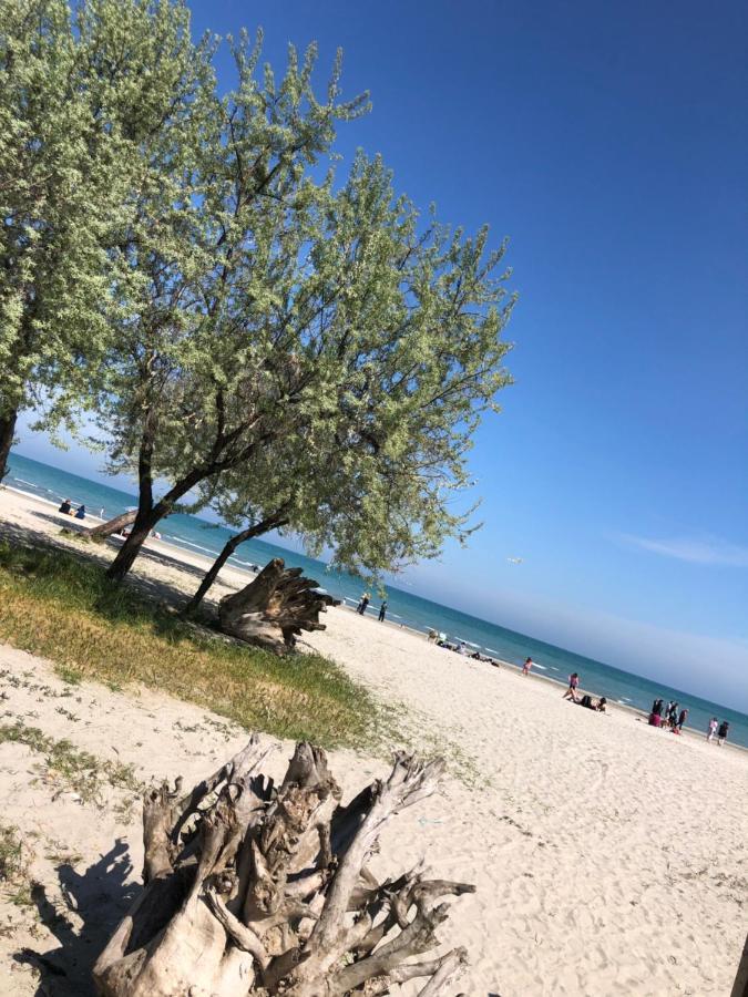 North Spa&Pools AlezziBeach Năvodari Esterno foto